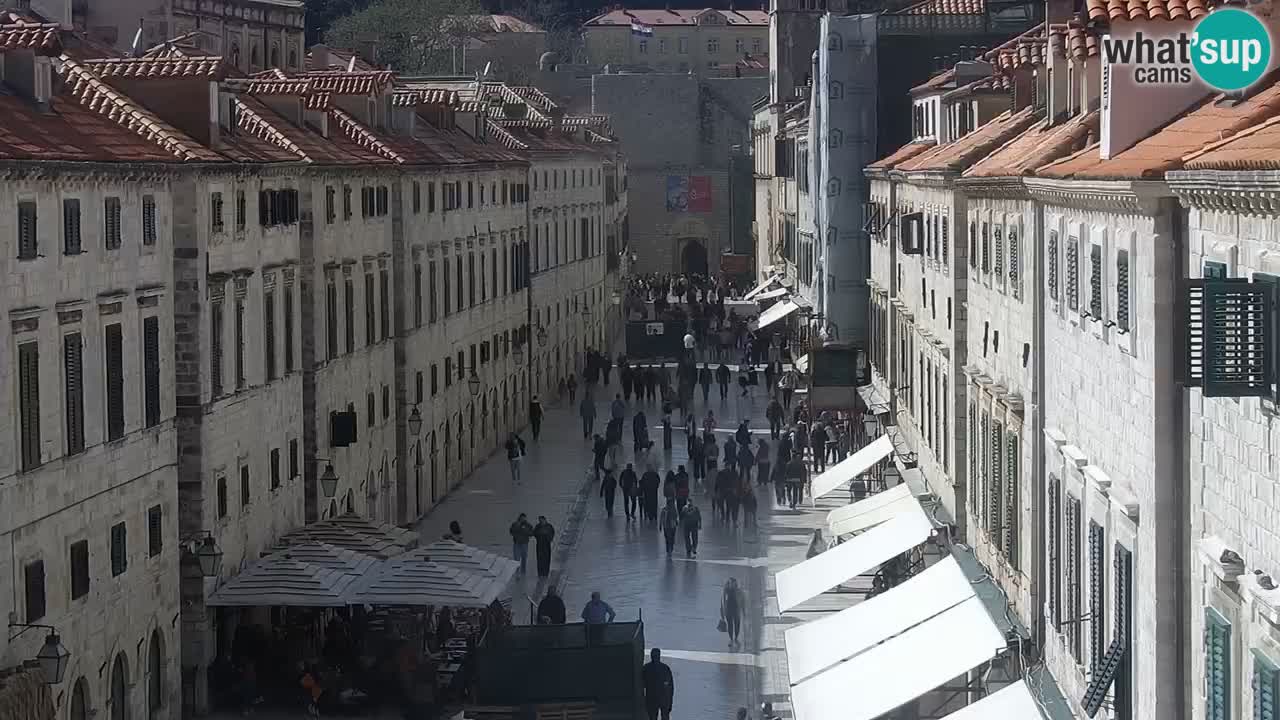 Livecam Dubrovnik Stradun