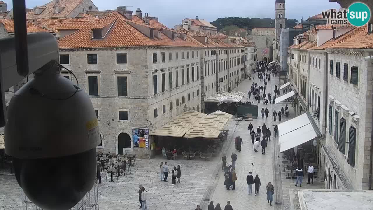 Live Webcam Dubrovnik Stradun