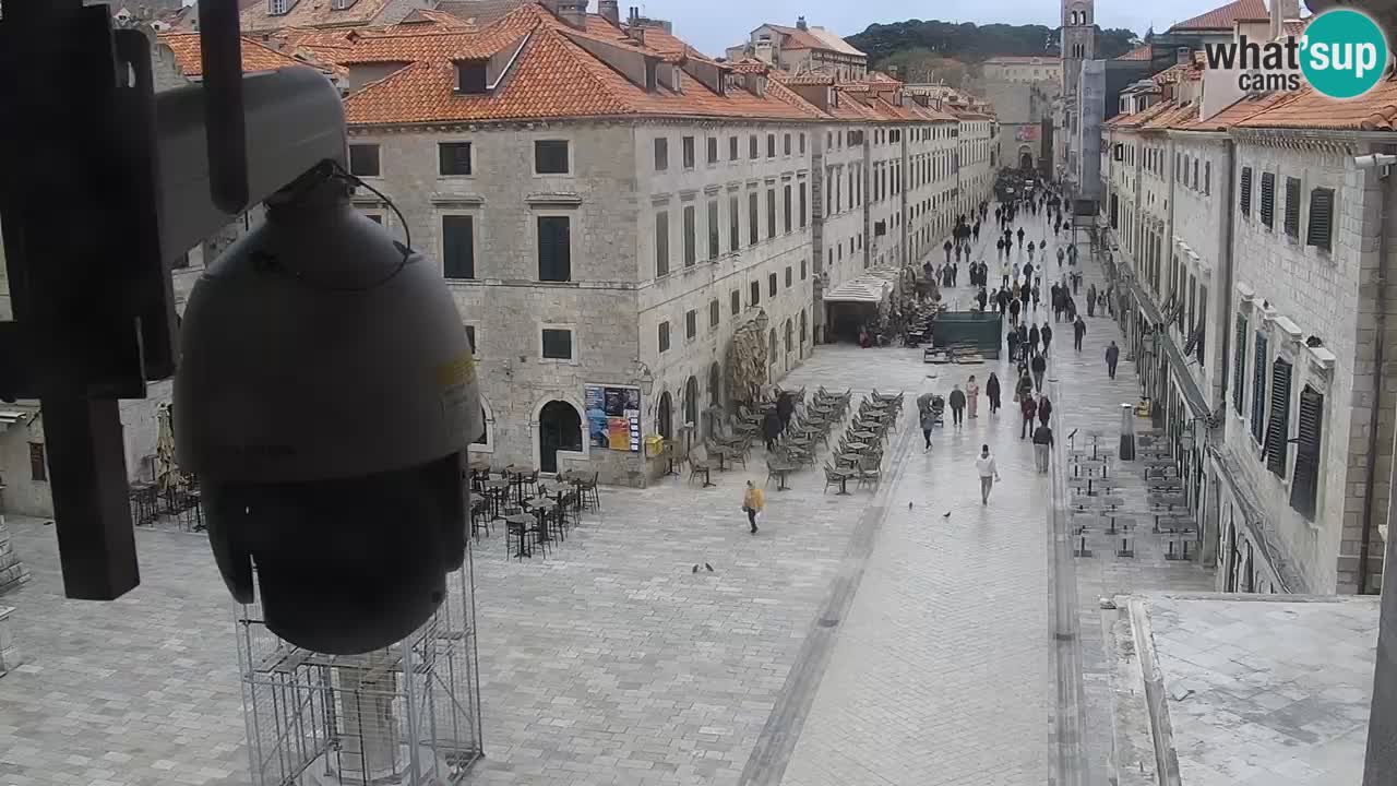 Livecam Dubrovnik Stradun