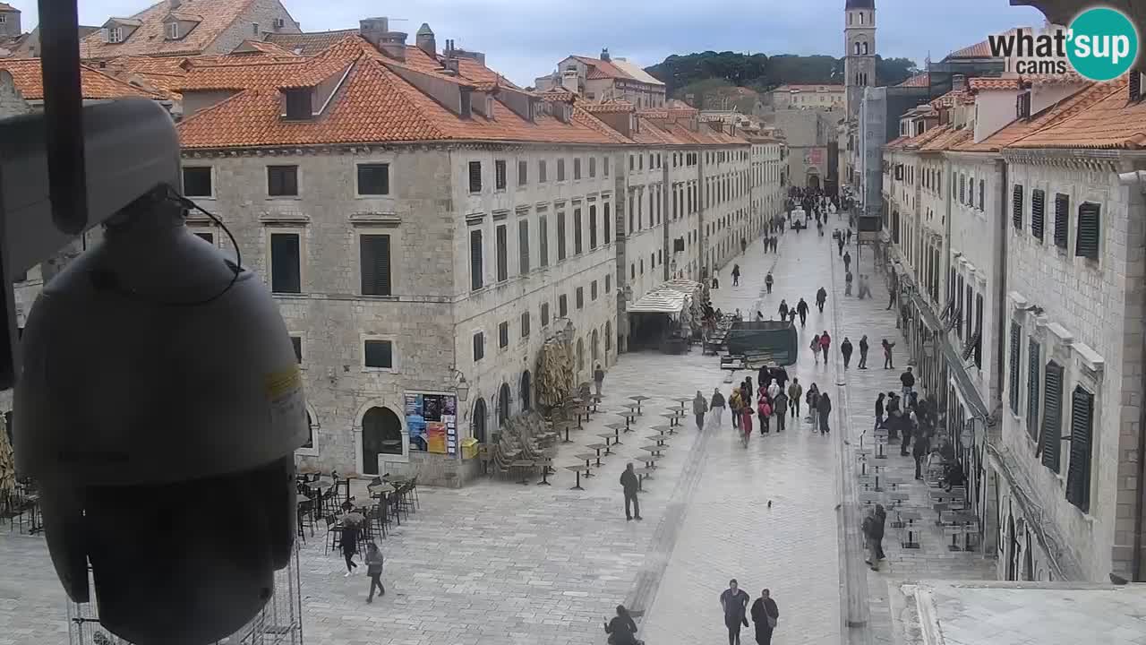 Livecam Dubrovnik Stradun