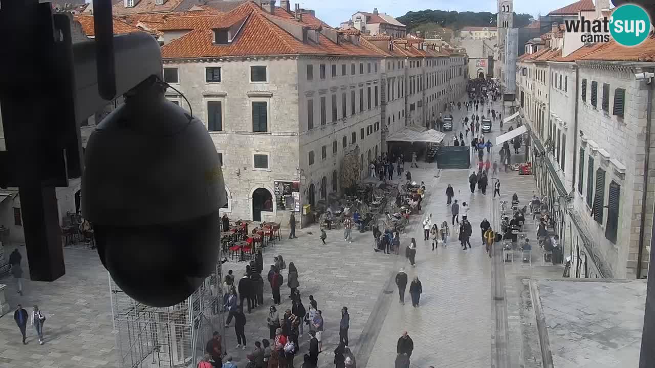 Live Webcam Dubrovnik Stradun