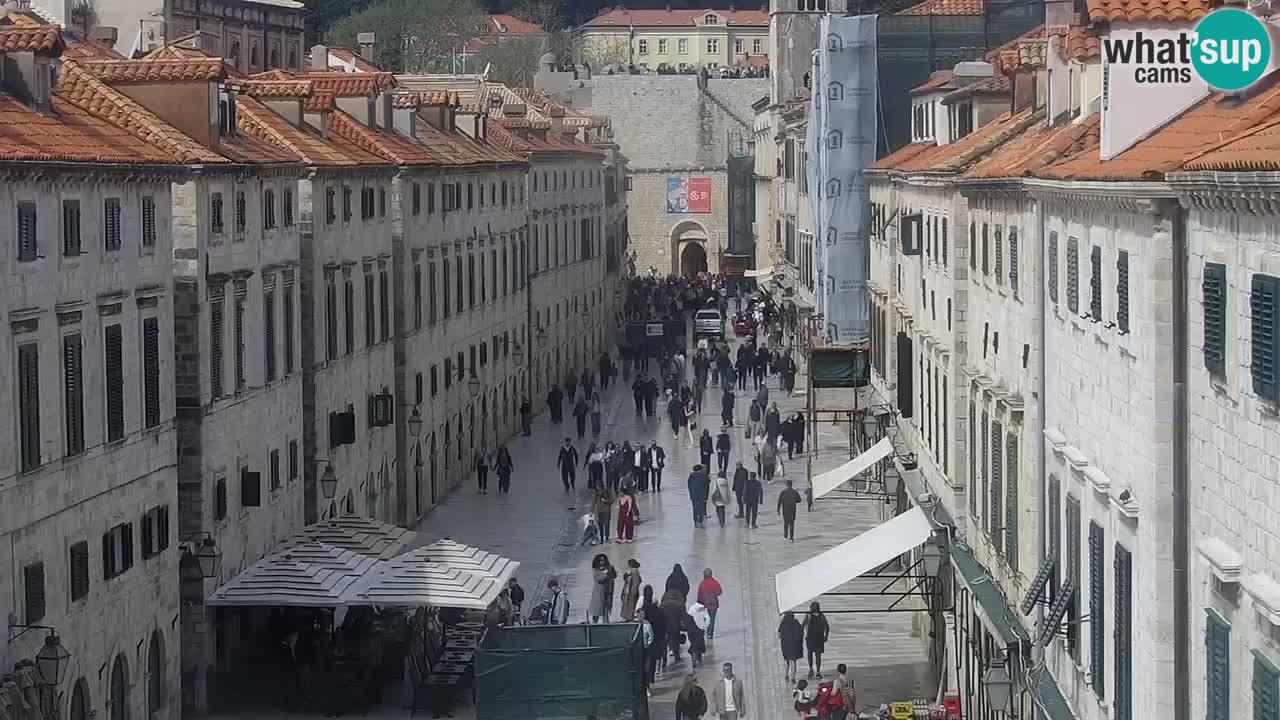 Livecam Dubrovnik Stradun