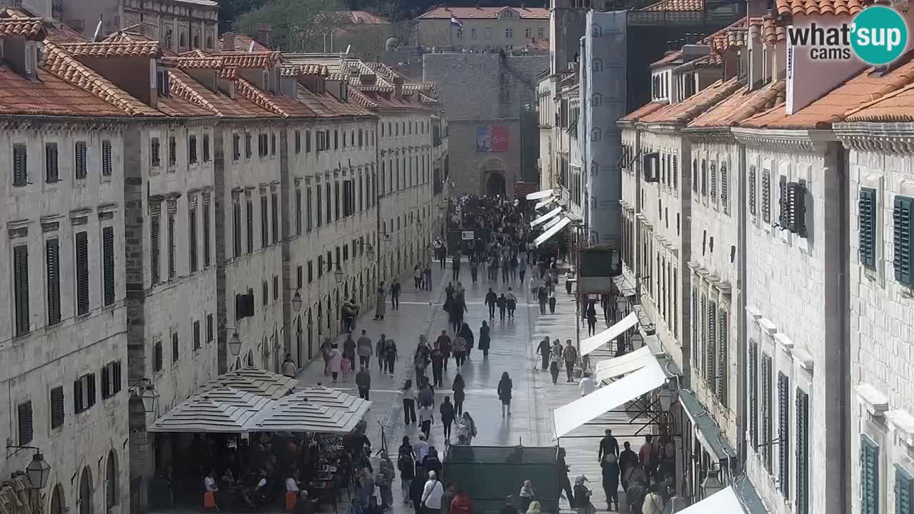 Livecam Dubrovnik Stradun
