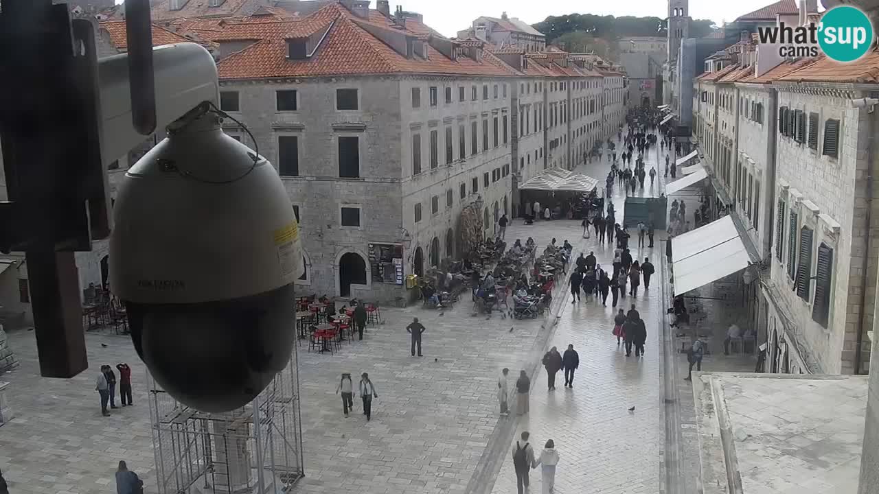Livecam Dubrovnik Stradun