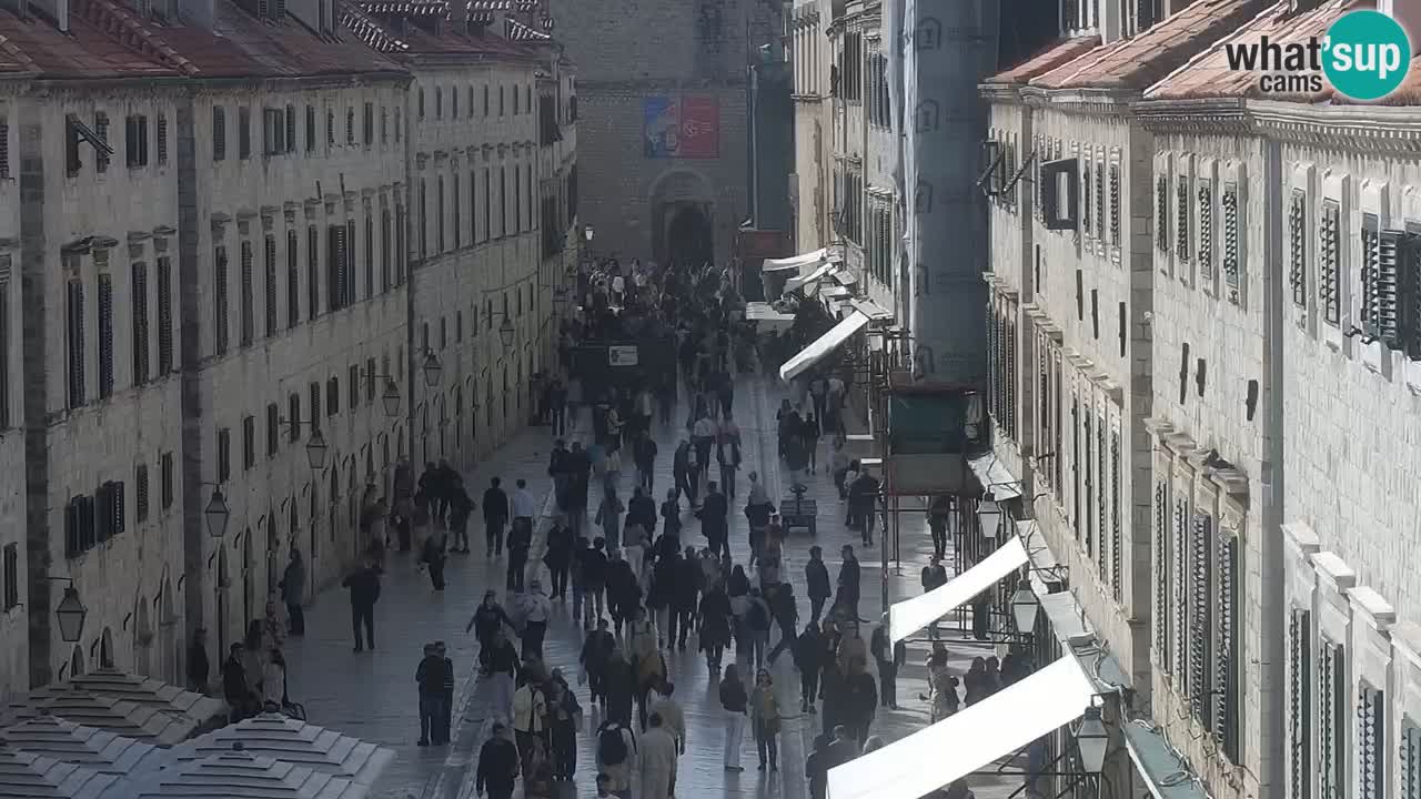 Livecam Dubrovnik Stradun