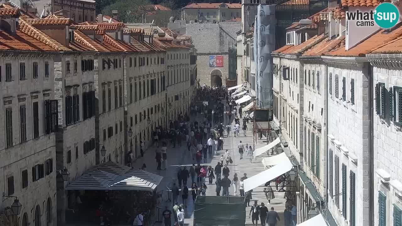 Live Webcam Dubrovnik Stradun
