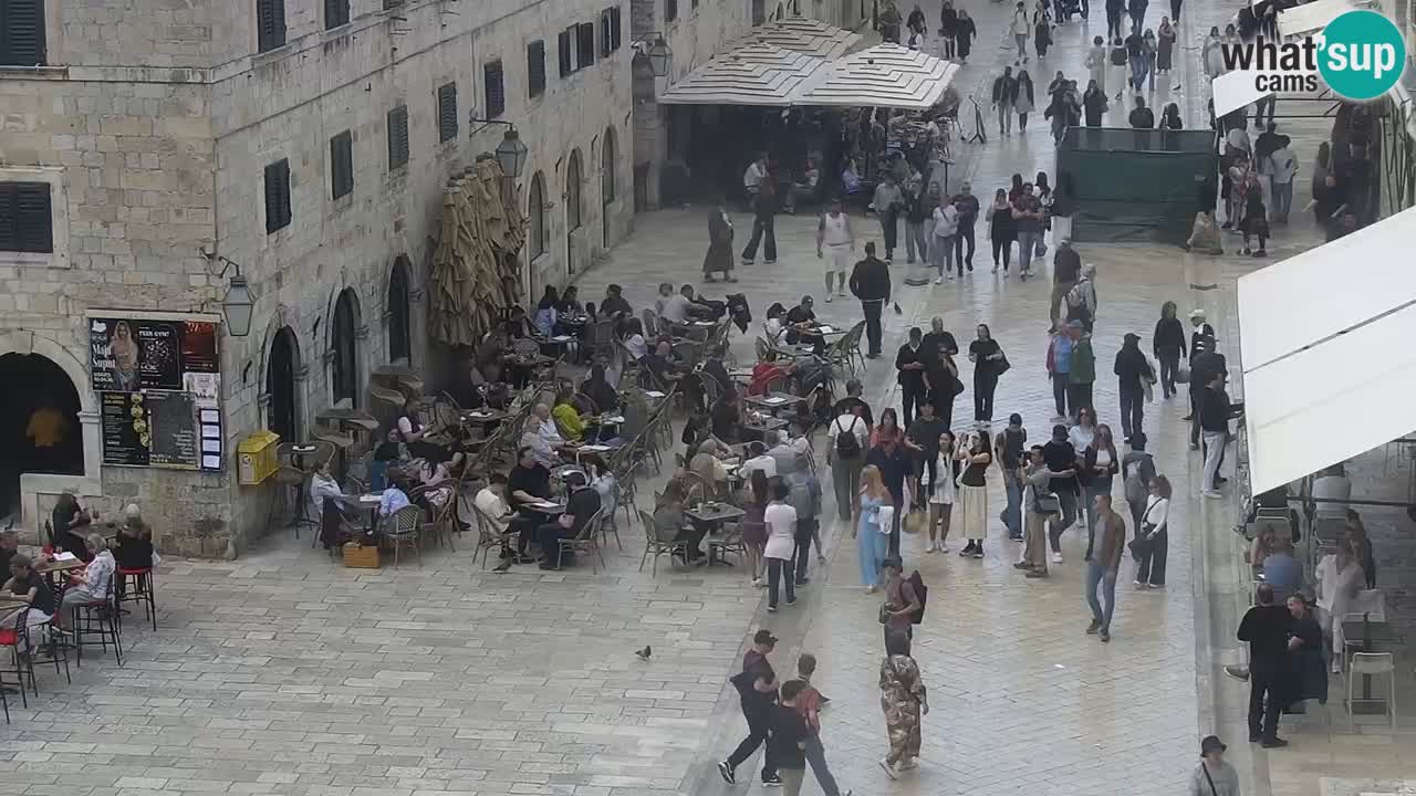 Camera en vivo Dubrovnik Stradun