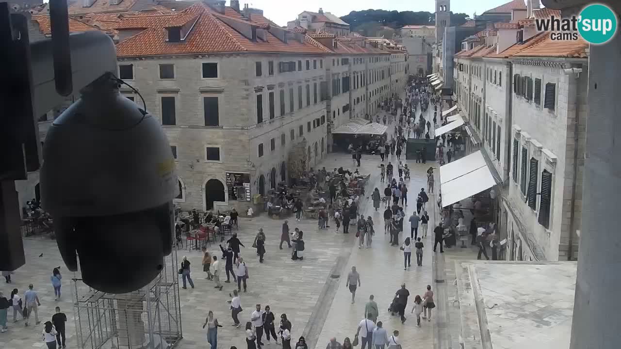 Webcam Ragusa (Dubrovnik) Stradun
