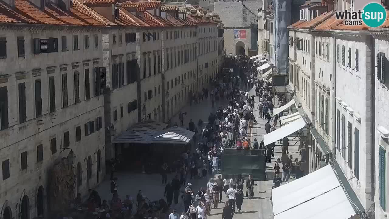 Livecam Dubrovnik Stradun