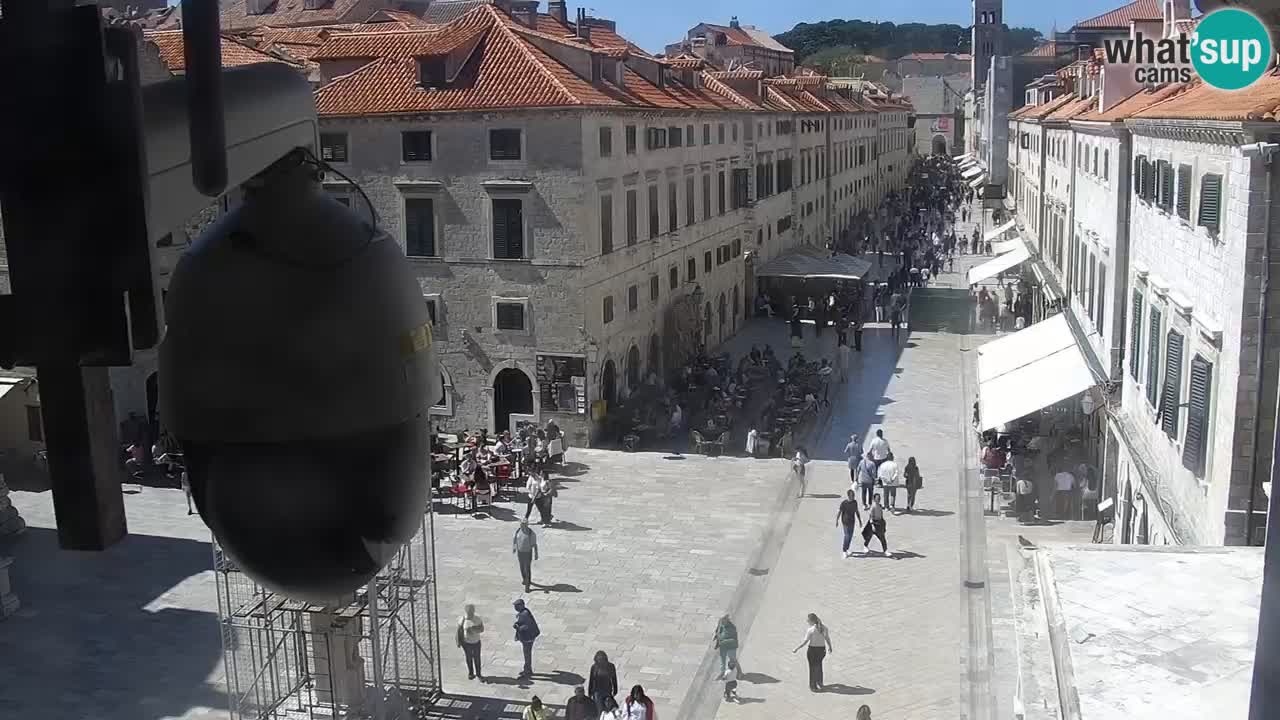Livecam Dubrovnik Stradun