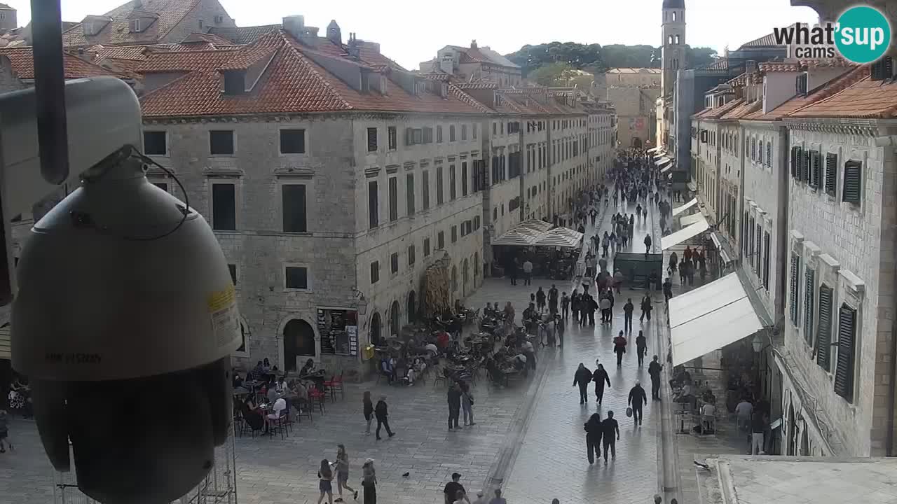 Webcam Ragusa (Dubrovnik) Stradun