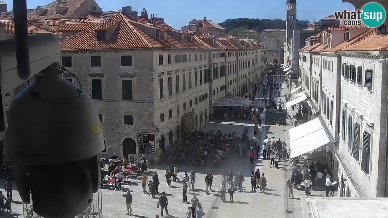 Livecam Dubrovnik Stradun