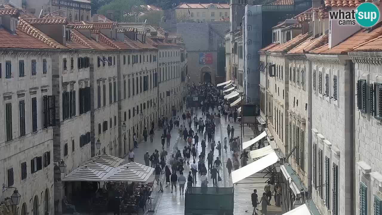Livecam Dubrovnik Stradun