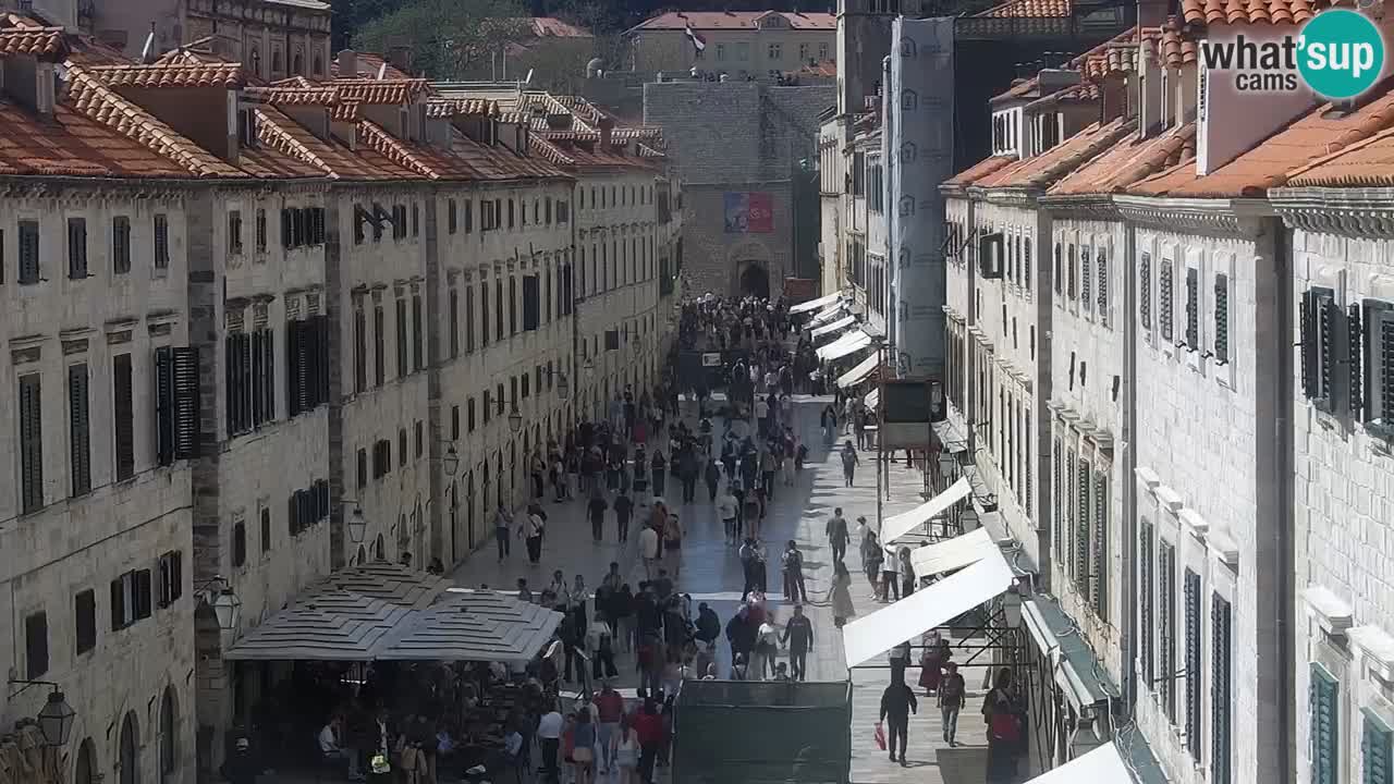 Livecam Dubrovnik Stradun