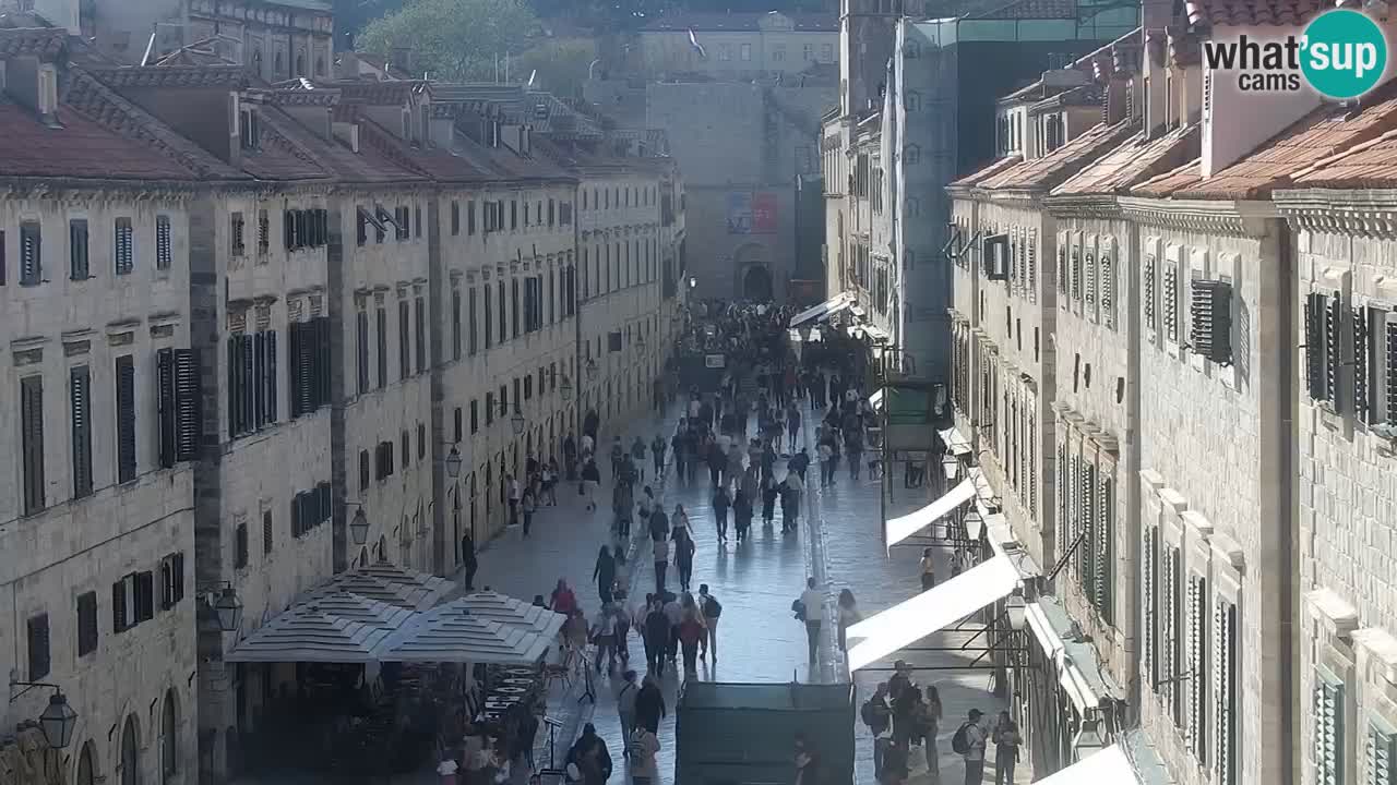 Camera en vivo Dubrovnik Stradun