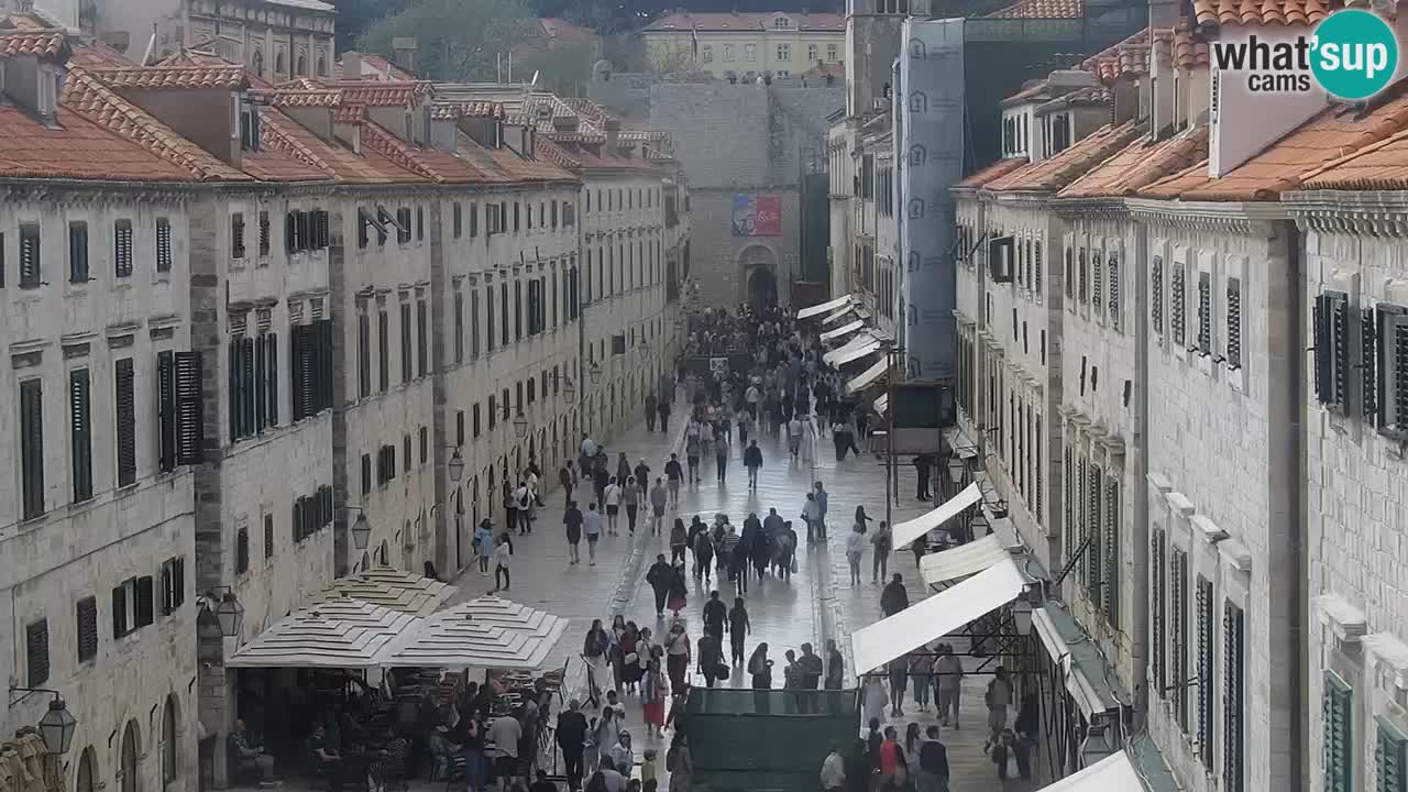 Live Webcam Dubrovnik Stradun