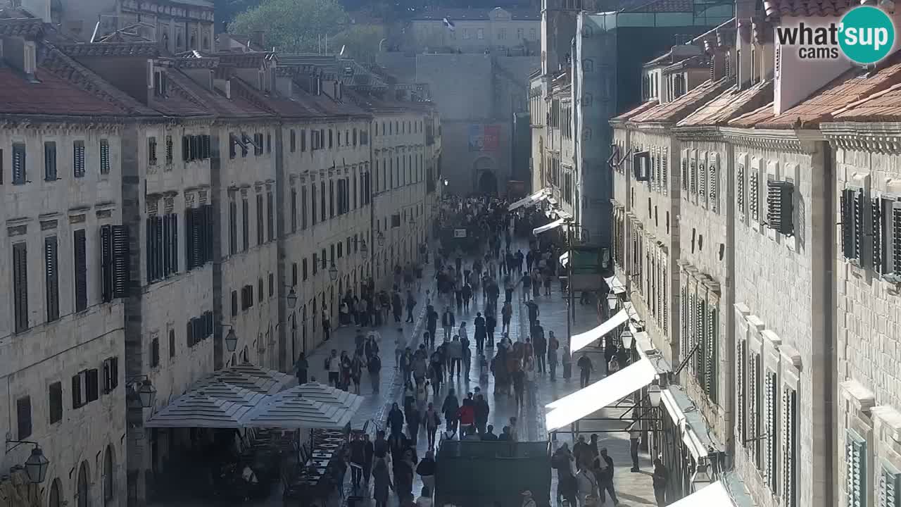 Livecam Dubrovnik Stradun
