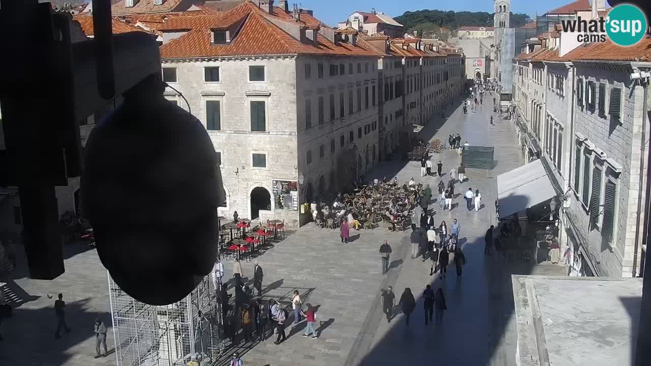 Livecam Dubrovnik Stradun