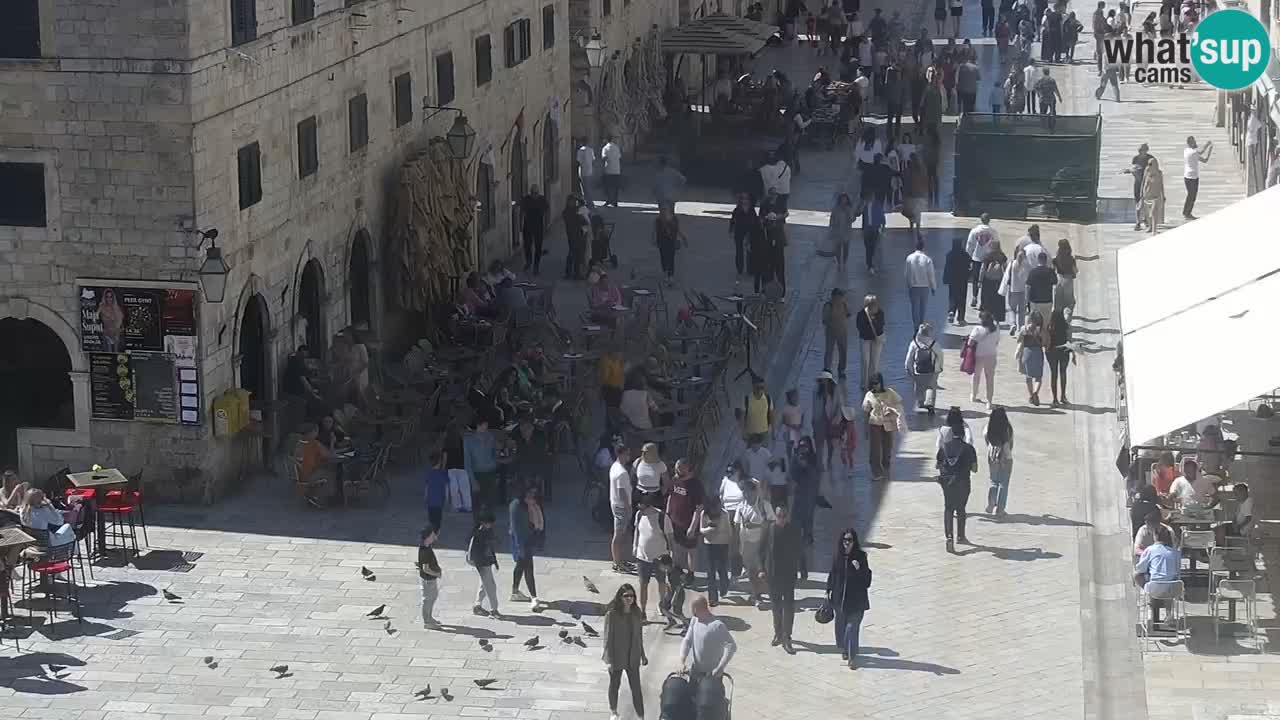 Live Webcam Dubrovnik Stradun