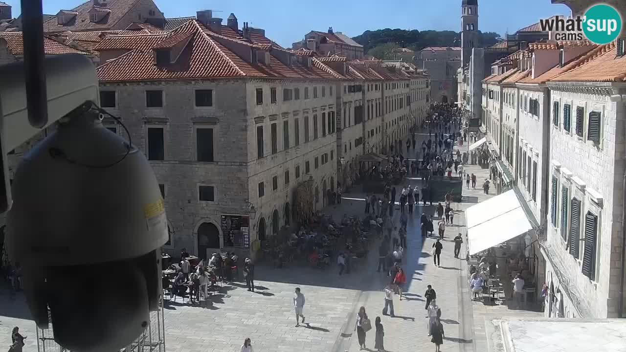 Live Webcam Dubrovnik Stradun