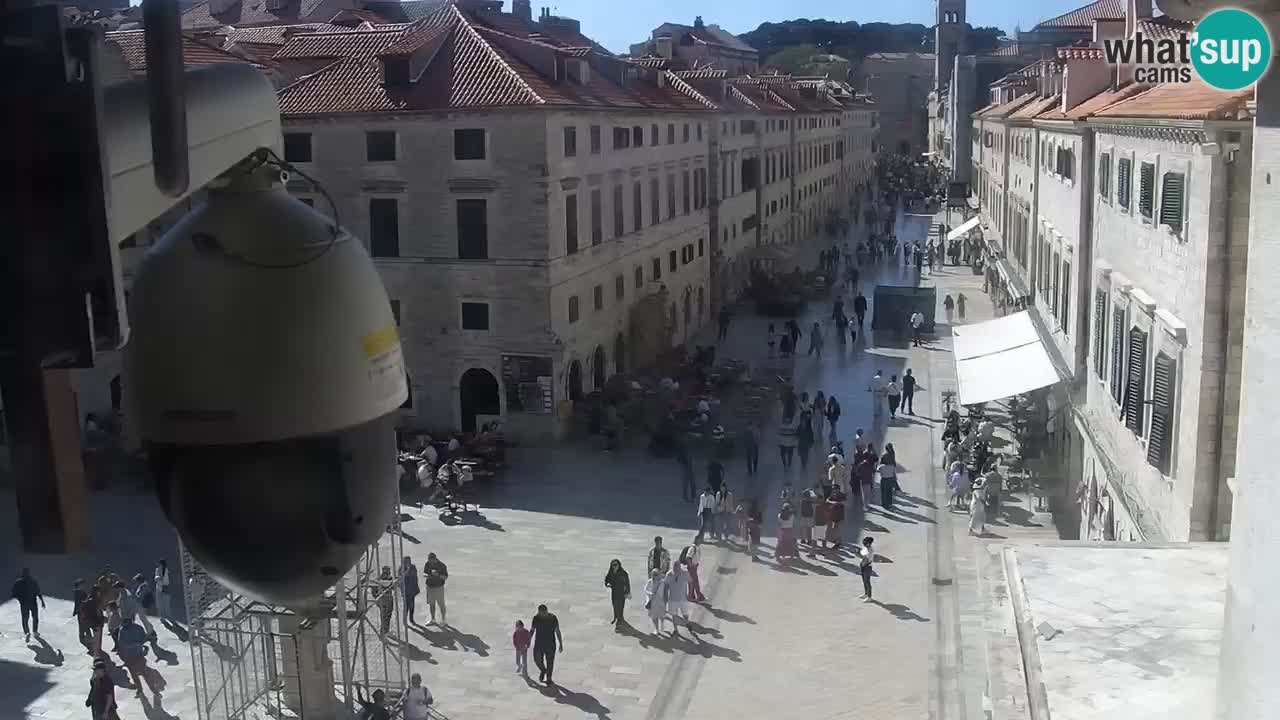 Live Webcam Dubrovnik Stradun