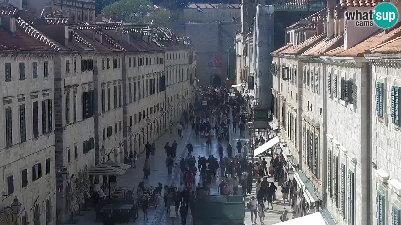 Livecam Dubrovnik Stradun