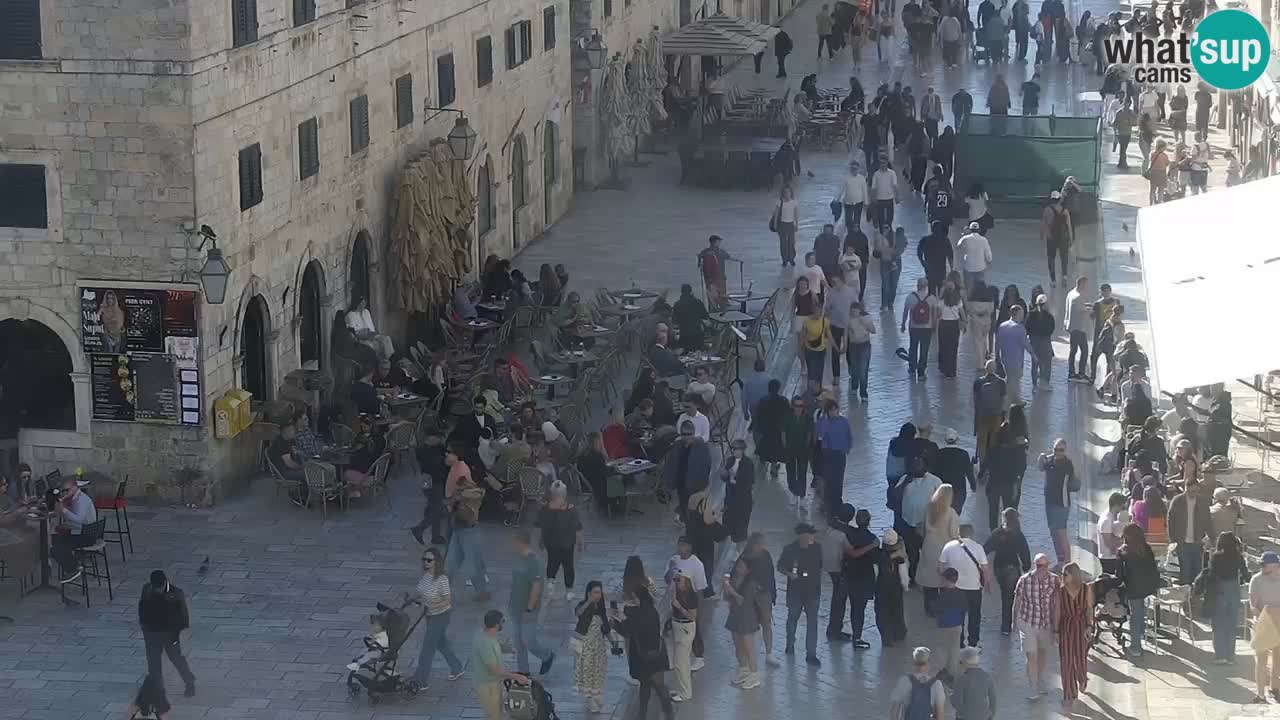 Live Webcam Dubrovnik Stradun