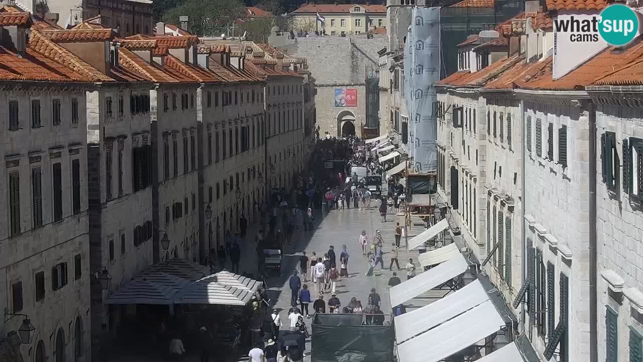 Webcam Ragusa (Dubrovnik) Stradun