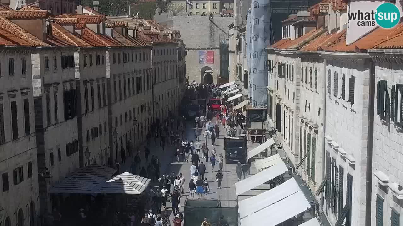 Livecam Dubrovnik Stradun