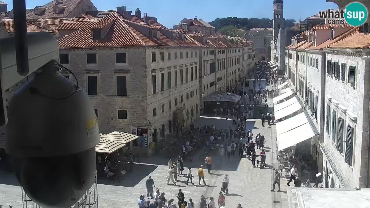 Camera en vivo Dubrovnik Stradun