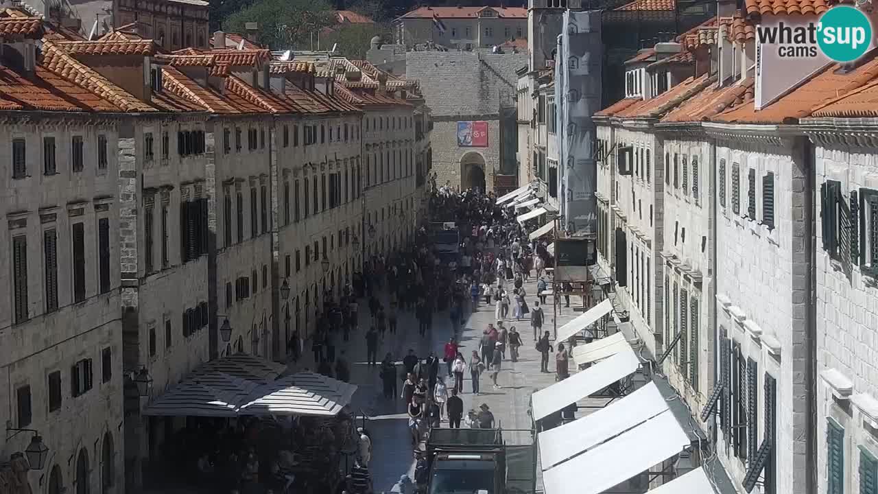 Camera en vivo Dubrovnik Stradun