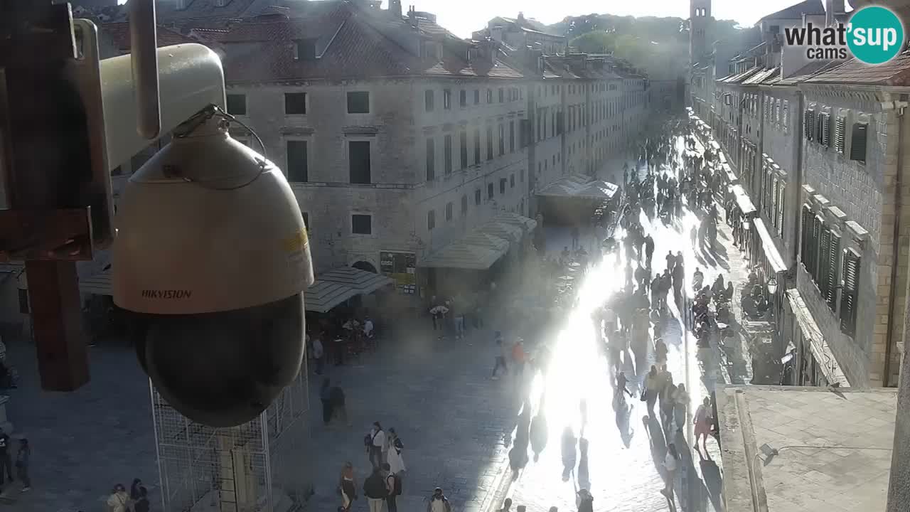 Camera en vivo Dubrovnik Stradun