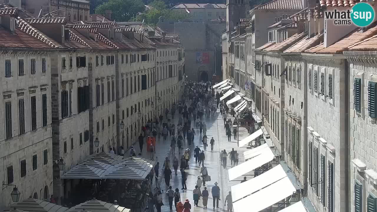 Livecam Dubrovnik Stradun