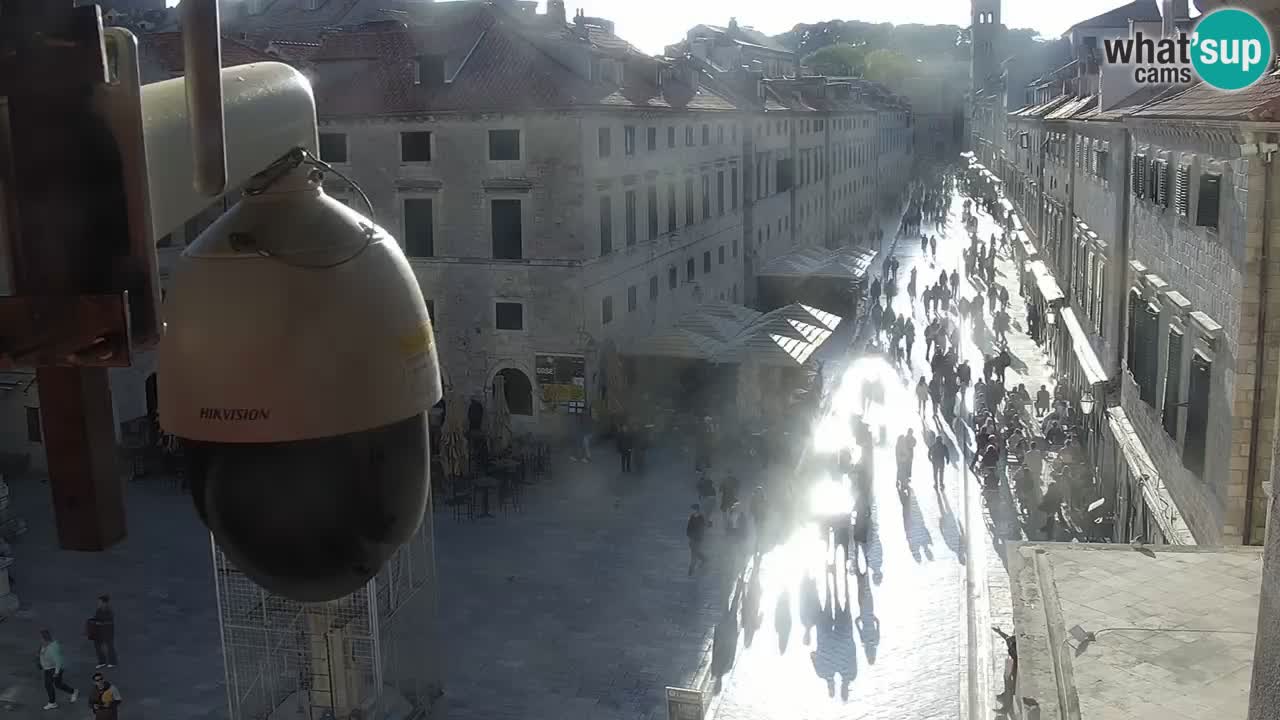 Camera en vivo Dubrovnik Stradun