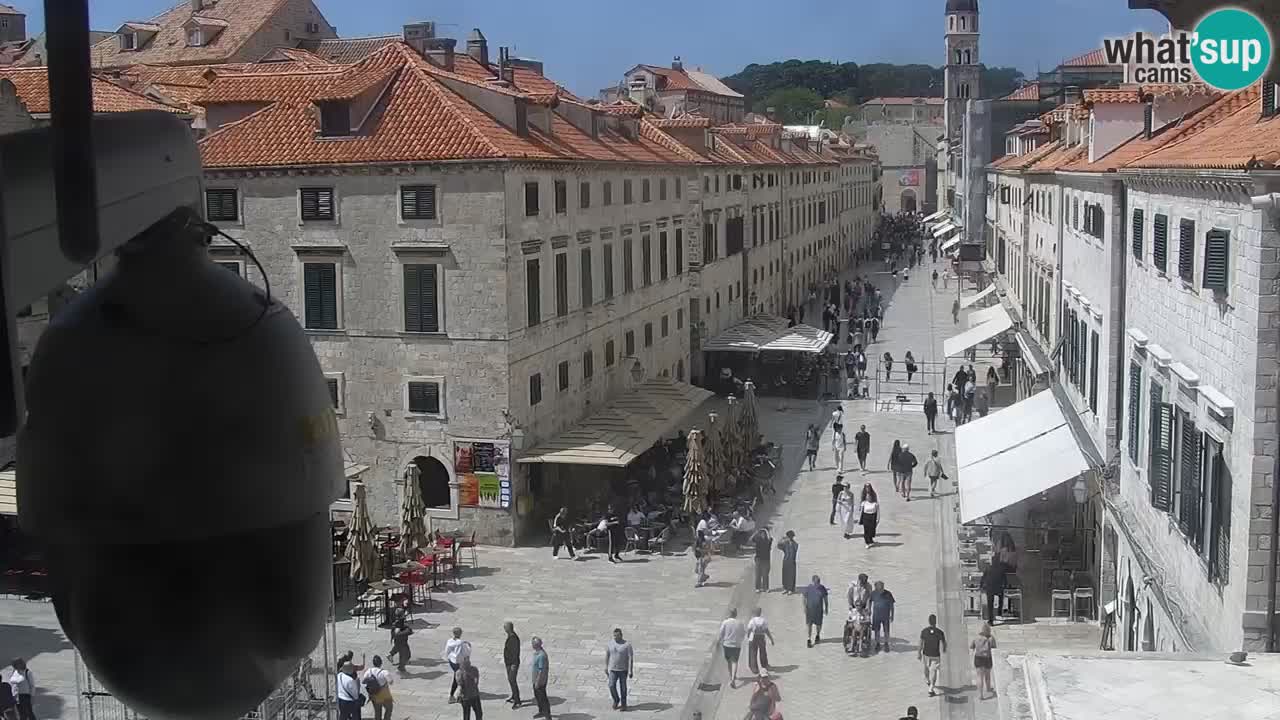 Livecam Dubrovnik Stradun