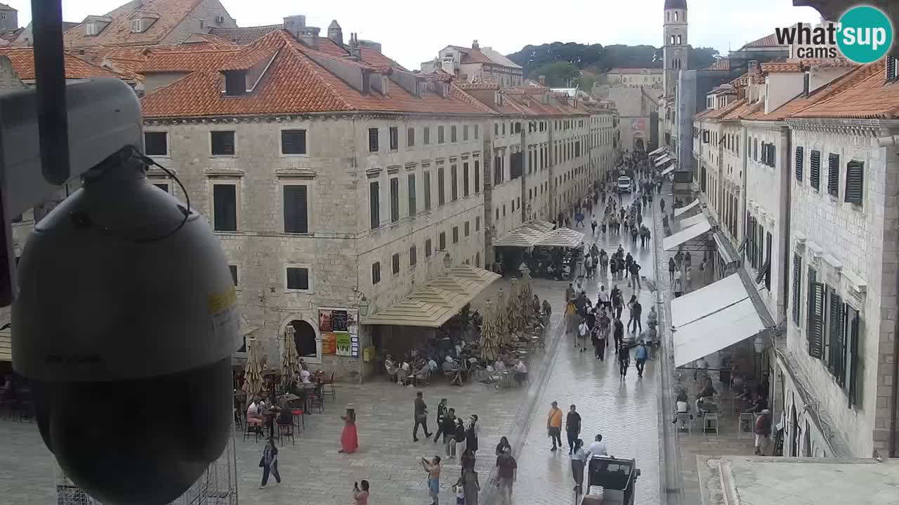 Camera en vivo Dubrovnik Stradun