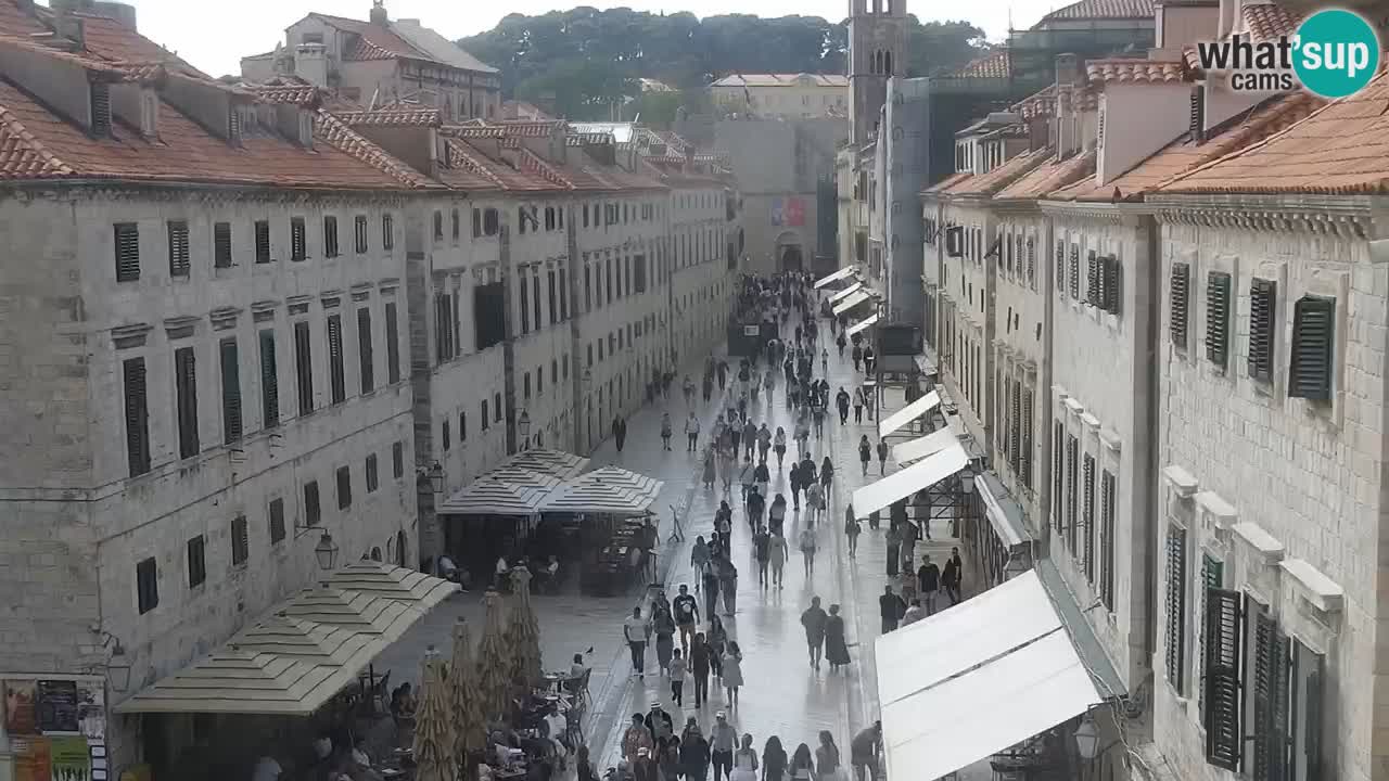 Livecam Dubrovnik Stradun