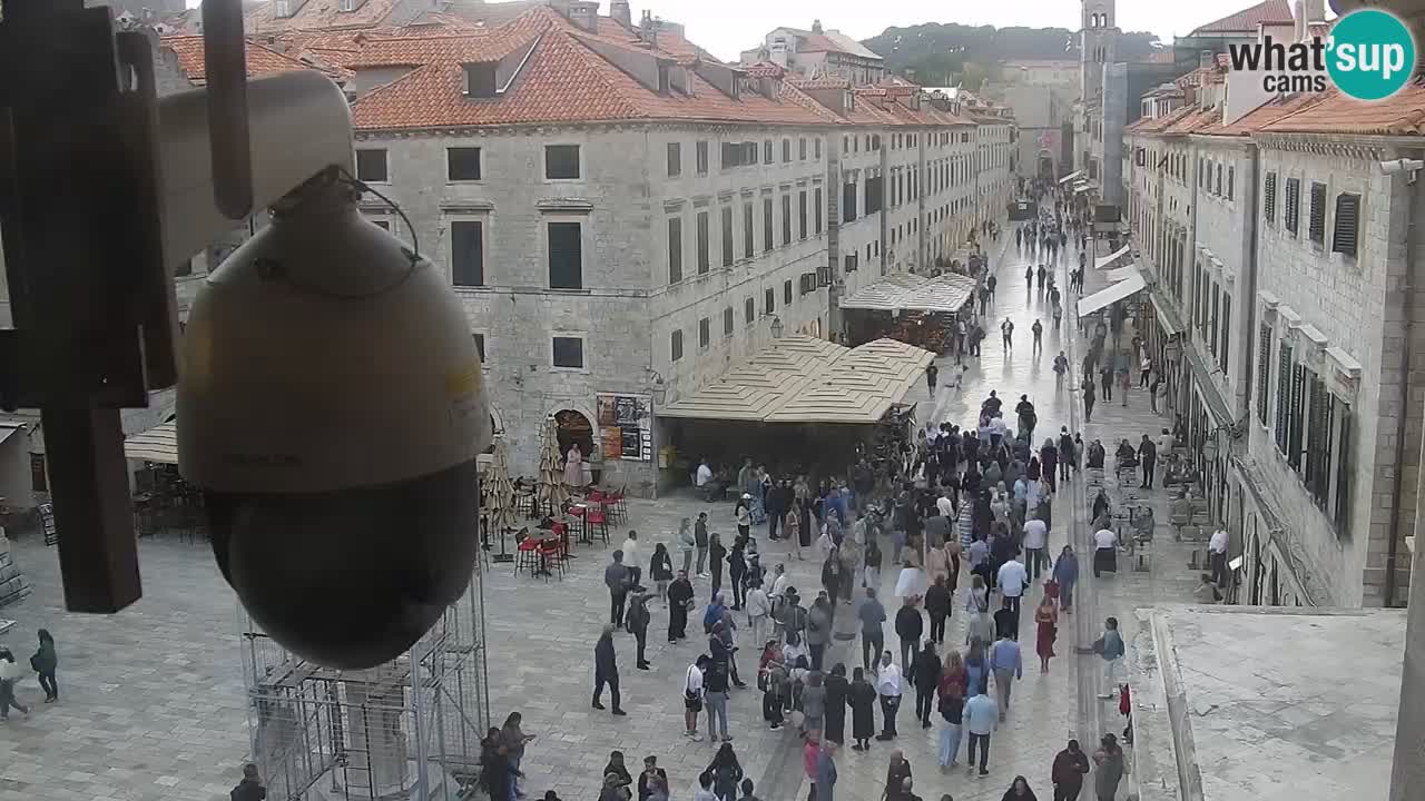 Webcam Ragusa (Dubrovnik) Stradun
