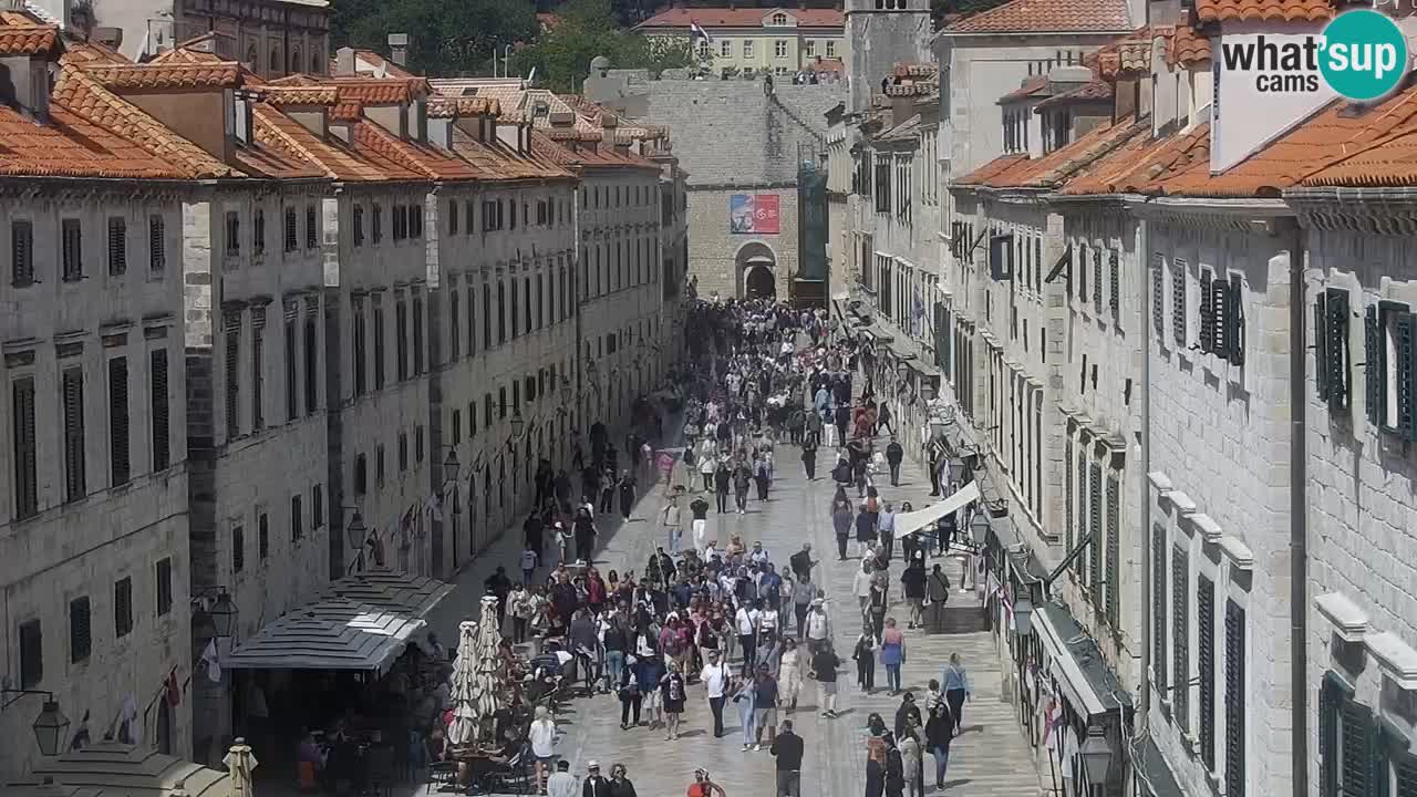 Camera en vivo Dubrovnik Stradun