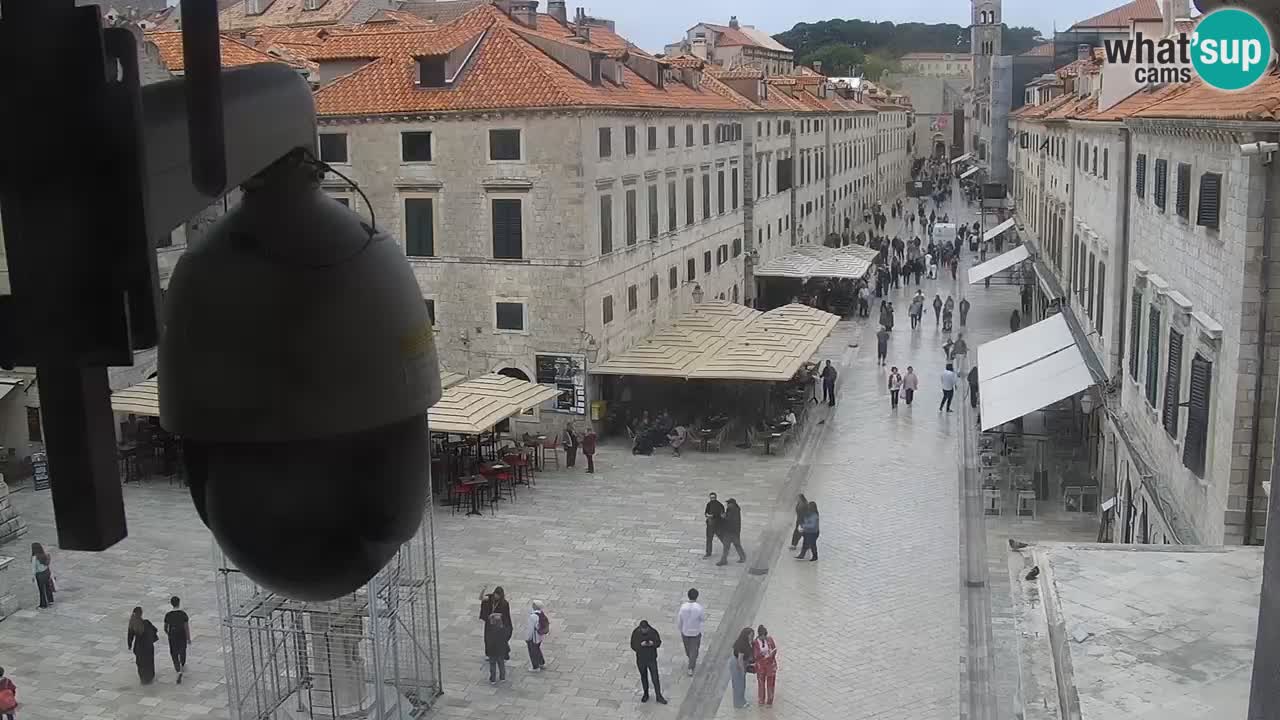 Camera en vivo Dubrovnik Stradun