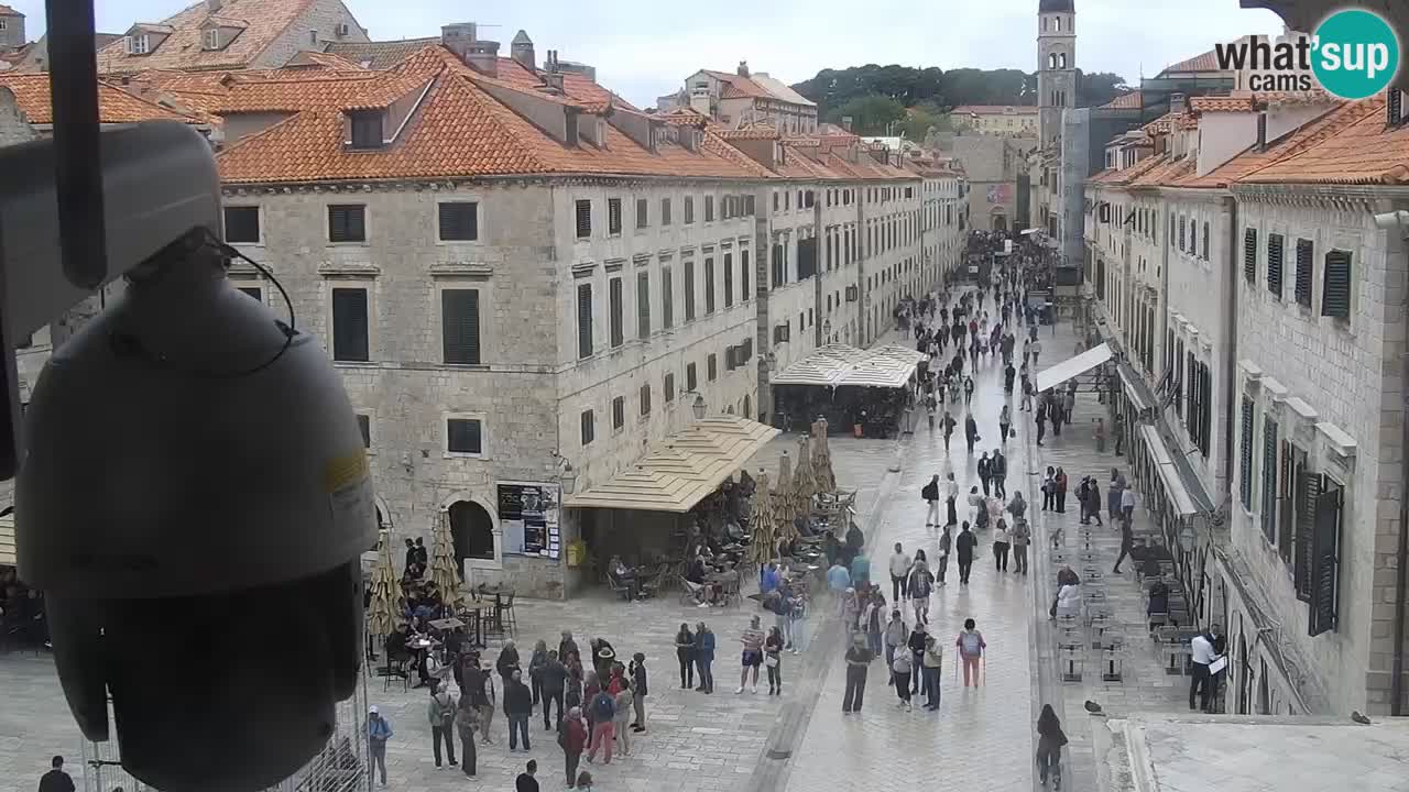 Live Webcam Dubrovnik Stradun
