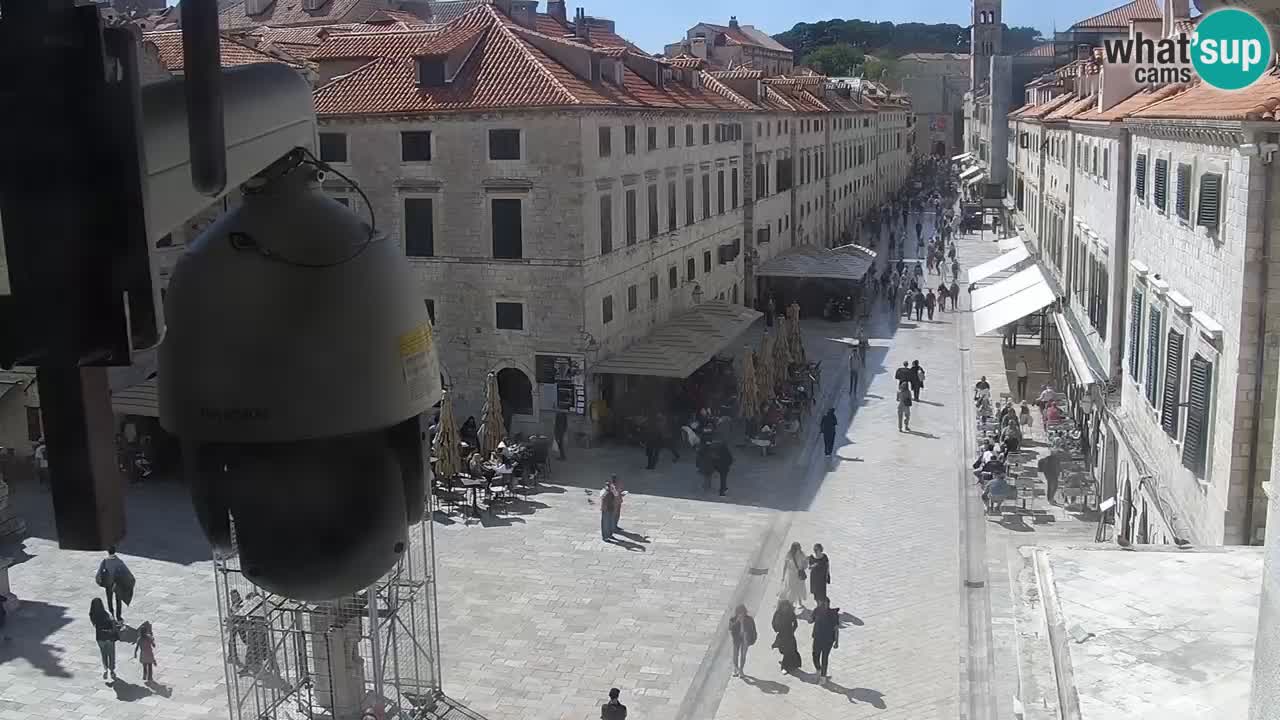 Live Webcam Dubrovnik Stradun