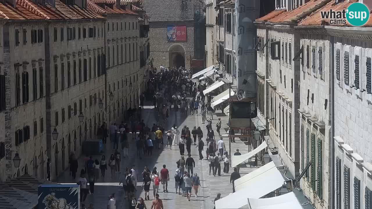 Livecam Dubrovnik Stradun