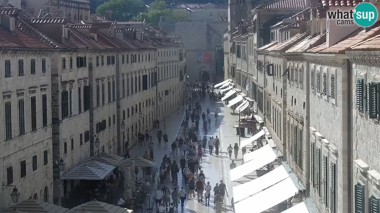 Live Webcam Dubrovnik Stradun