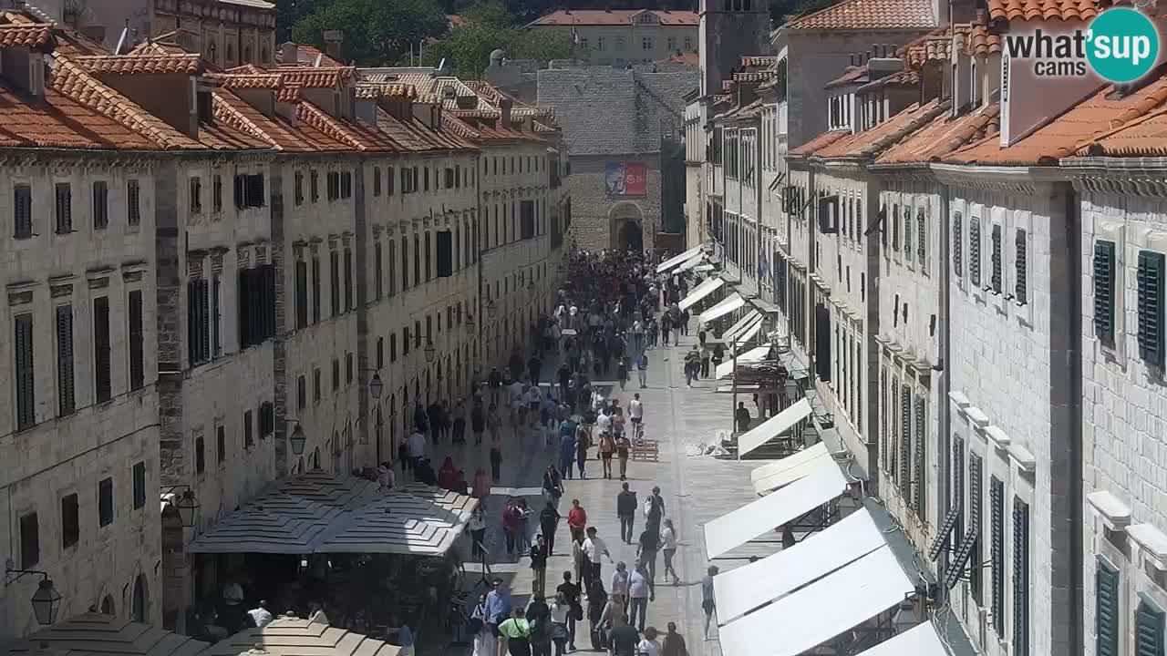 Webcam Ragusa (Dubrovnik) Stradun