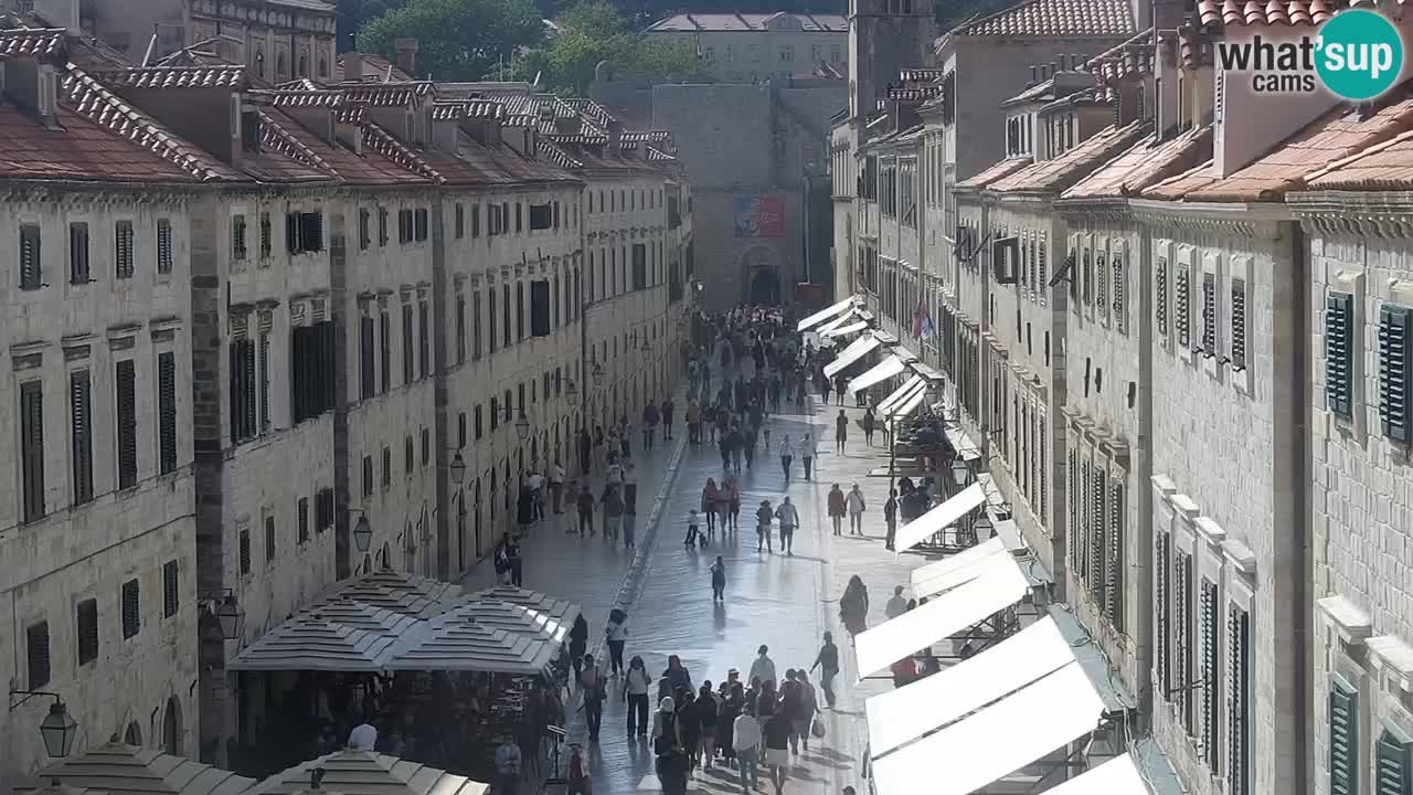 Live Webcam Dubrovnik Stradun