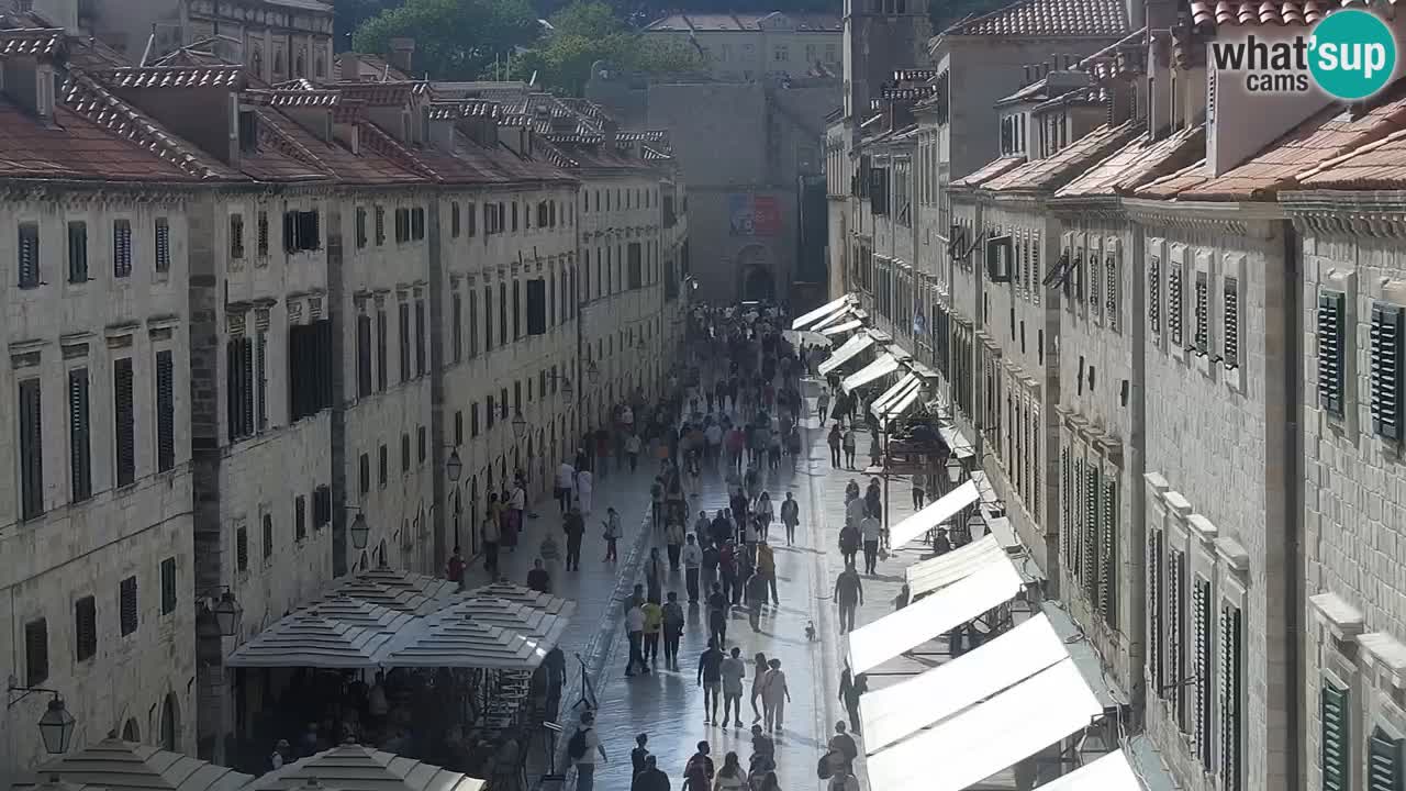 Live Webcam Dubrovnik Stradun
