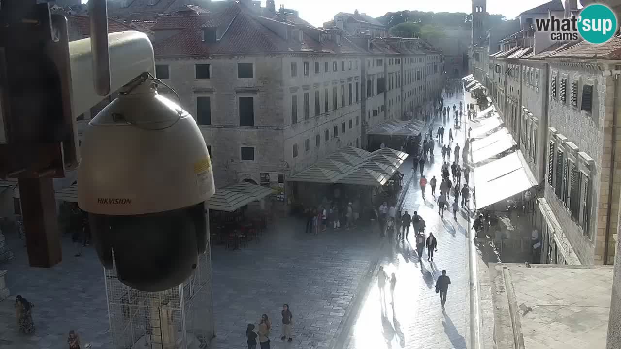 Live Webcam Dubrovnik Stradun