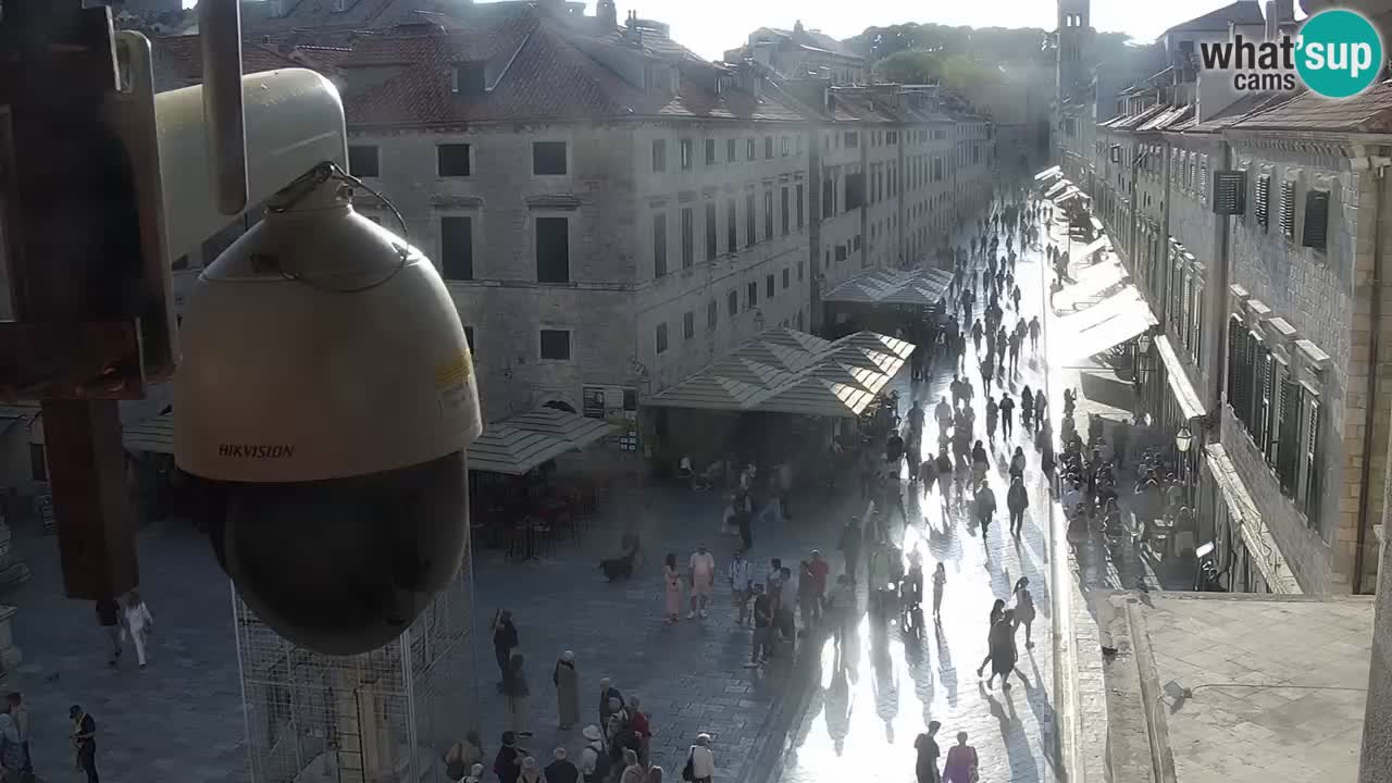 Live Webcam Dubrovnik Stradun