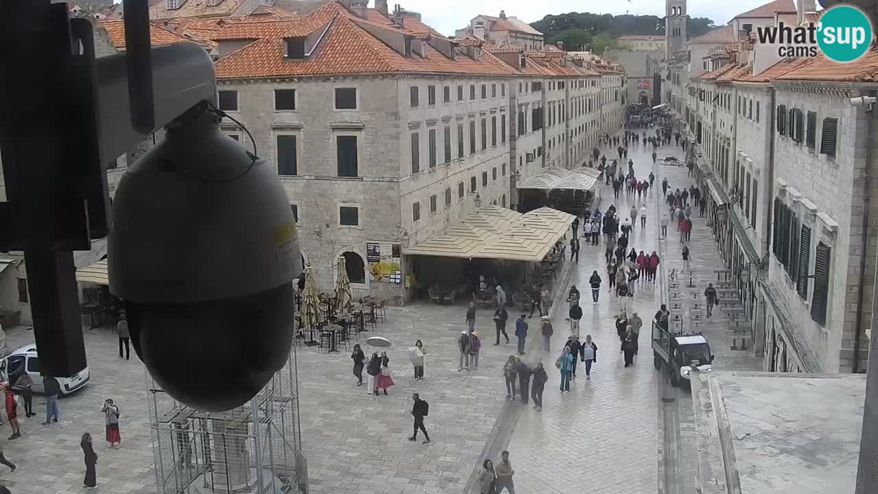 Live Webcam Dubrovnik Stradun